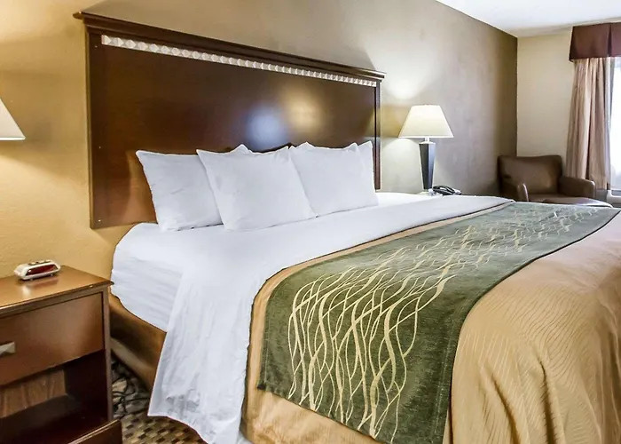 Quality Near Area 4* Macomb