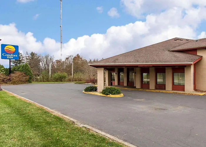 Quality Near Area Inn