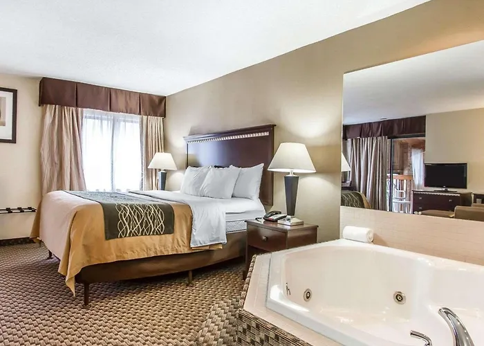 Quality Near Area Inn 4*