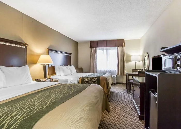 Quality Near Area Inn