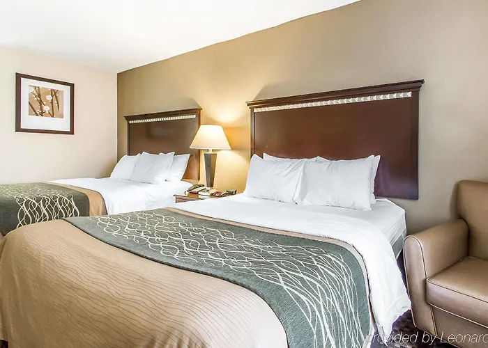 Quality Near Area Inn 4*
