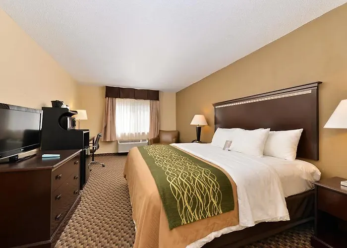 Quality Near Area 4* Macomb