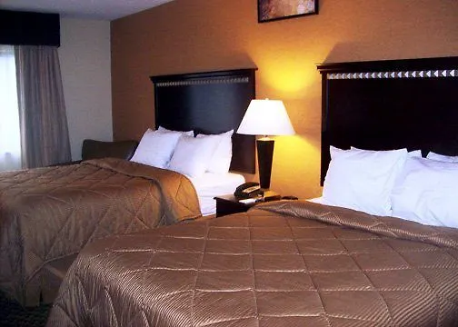 Quality Near Area Inn 4*